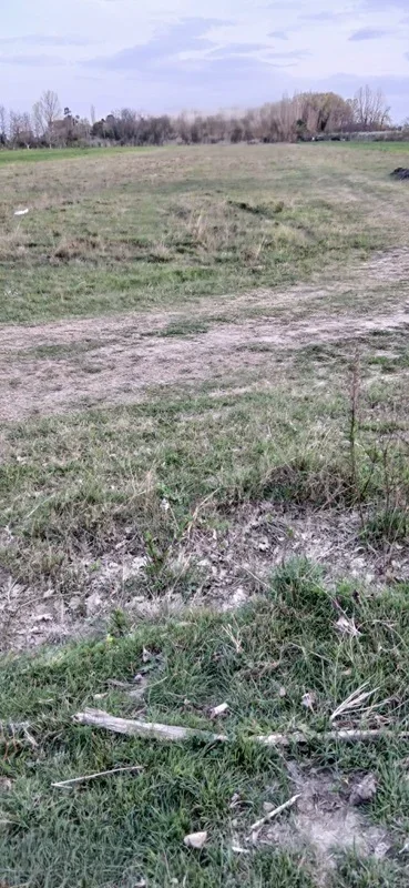 Ishull Lezhë shitet tokë