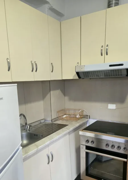 Tirane, jepet me qera Vile 1+1 , 65 m² 350 € (Prane universitetit te mjeksise/ Spitali Amerikan 2)