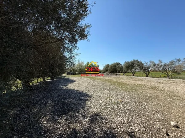 Vlore, jepet me qera ambjent biznesi Kati 0, 90 m² 1.000 € (Novoselë)