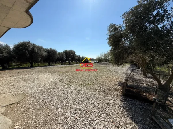 Vlore, jepet me qera ambjent biznesi Kati 0, 90 m² 1.000 € (Novoselë)