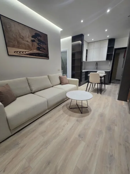 Tirane, jepet me qera apartament 1+1 Kati 1, 65 m² 1.000 € (Mine Peza)