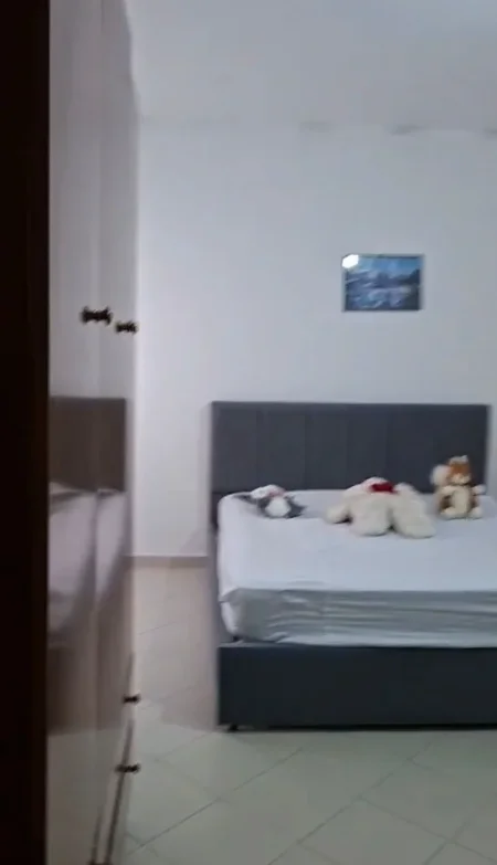 Tirane, jepet me qera apartament 1+1+Ballkon Kati 5, 65 m² 350 € 