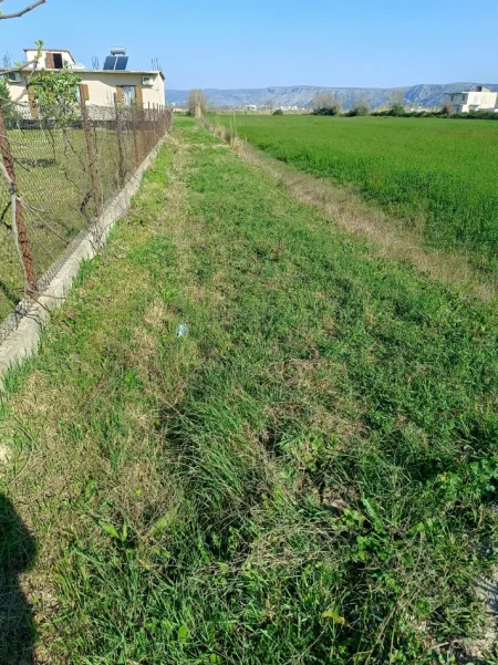 Shengjin, shitet toke , 2.750 m² 81.000 € (Shengjin)