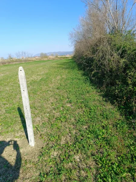 Shengjin, shitet toke , 2.750 m² 81.000 € (Shengjin)