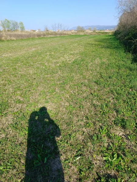 Shengjin, shitet toke , 2.750 m² 81.000 € (Shengjin)