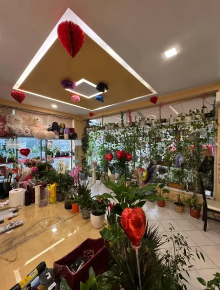 Tirane, shitet ambjent biznesi Kati 0, (kodra e diellit)