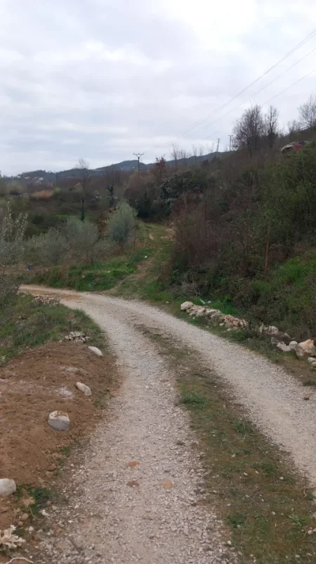 Tirane, shitet toke , 2.532 m² (ibe e poshtme)