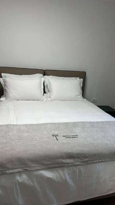 Tirane, jepet me qera apartament 1+1+Ballkon Kati 2, 55 m² 600 € (21 Dhjetori)