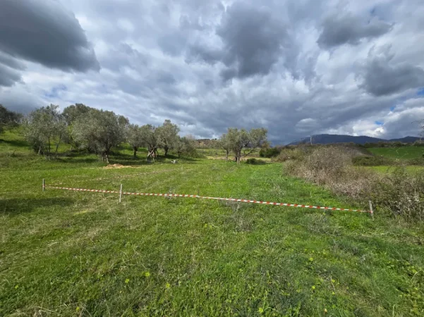 SUPER OKAZIONN 🔥🔥🔥Tirane, shitet toke 400 m²  34.990 € (Fikas, Mullet, 600M larg Equos)