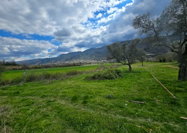 SUPER OKAZIONN 🔥🔥🔥Tirane, shitet toke 400 m²  34.990 € (Fikas, Mullet, 600M larg Equos)