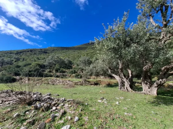 SUPER Tokë në Shitje 600 m2 📍Në Borsh - Te karburanti (Rruga e Lumit) 🔥 (79.000 EURO) ( super çmim)🔥100 m nga rruga Kryesore sa hyne te karburanti