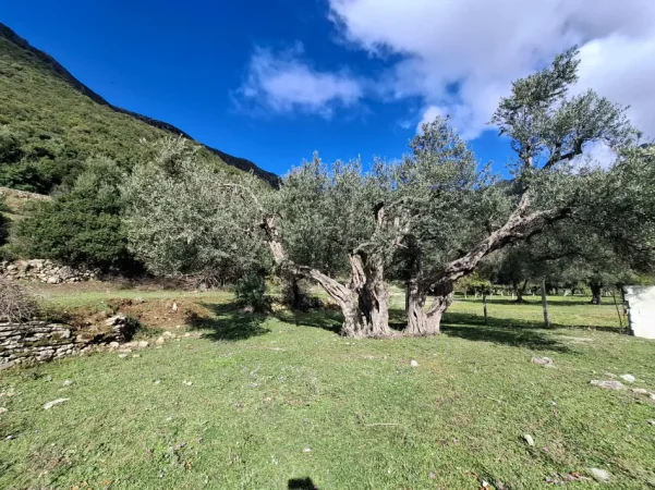 SUPER Tokë në Shitje 600 m2 📍Në Borsh - Te karburanti (Rruga e Lumit) 🔥 (79.000 EURO) ( super çmim)🔥100 m nga rruga Kryesore sa hyne te karburanti