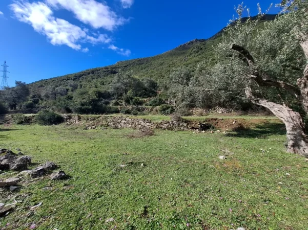 SUPER Tokë në Shitje 600 m2 📍Në Borsh - Te karburanti (Rruga e Lumit) 🔥 (79.000 EURO) ( super çmim)🔥100 m nga rruga Kryesore sa hyne te karburanti