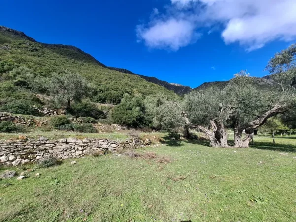 SUPER Tokë në Shitje 600 m2 📍Në Borsh - Te karburanti (Rruga e Lumit) 🔥 (79.000 EURO) ( super çmim)🔥100 m nga rruga Kryesore sa hyne te karburanti