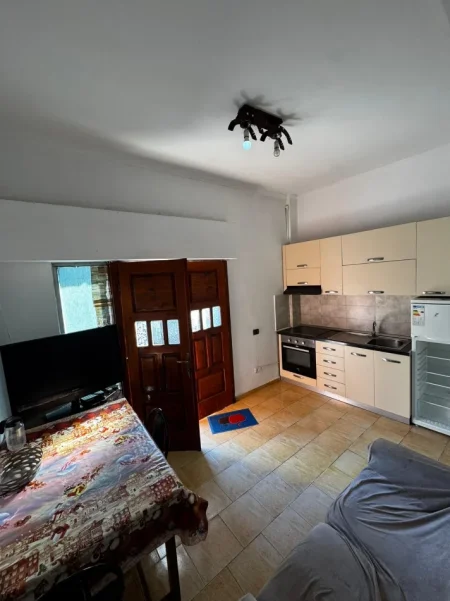 Tirane, jepet me qera apartament 1+1 Kati 1, 55 m² 350 € (Xhamia ne rrugen Jordan Misja)