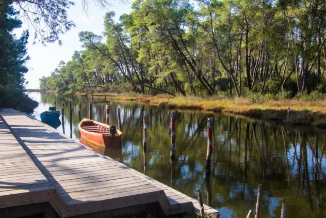 Divjake, jepet me qera hotel Kati 4, 1.500 m² 2.200 € (laguna karavastase)