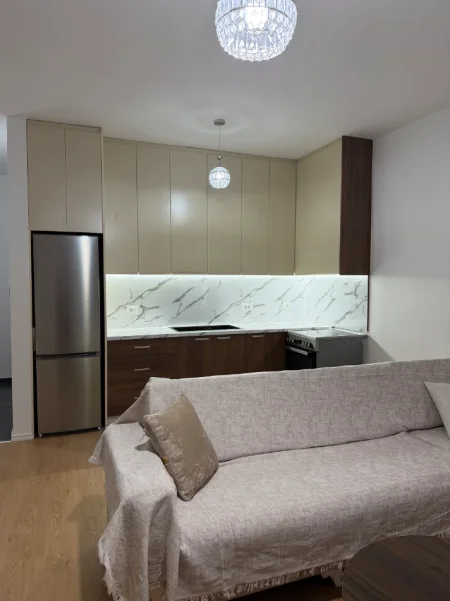Tirane, jepet me qera nga Pronari, pa-komision apartament 1+1 Kati 7, 65 m² 600 € (Rruga Egnatia)