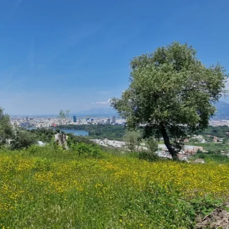 Tirane, shitet truall , 2.600 m² 1.300.000 € (Sauk)