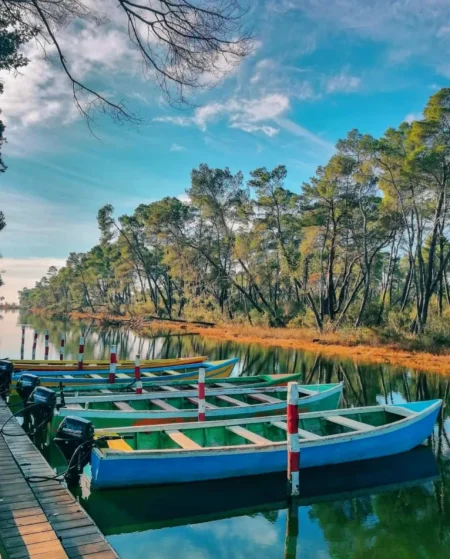 Divjake, shitet hotel , 1.200 m² 960.000 € 