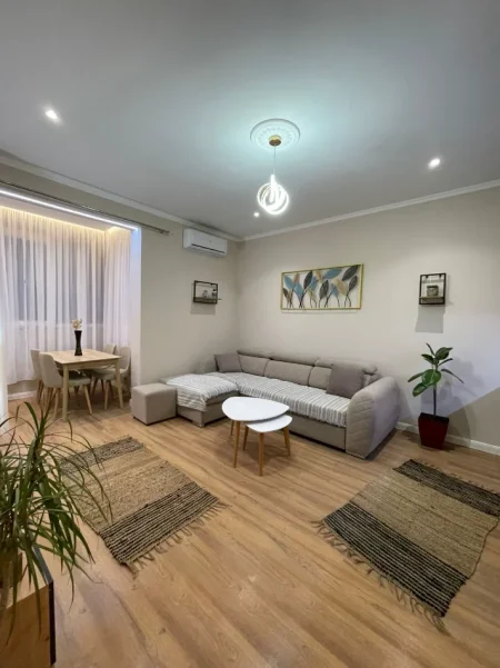 Tirane, jepet me qera apartament 1+1 Kati 3, 650 € (ish parku i autobusave , globe)