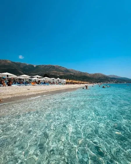 Borsh, shitet toke , 2.909 m² 2.500.000 € (0686009030)