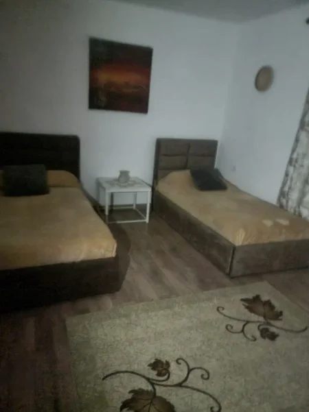 Tirane, jepet me qera shtepi 1+1 Kati 0, 68 m² 360 € (ne rrugen Vangjel Capo Tirane)