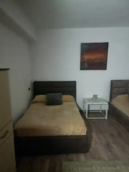 Tirane, jepet me qera shtepi 1+1 Kati 0, 68 m² 360 € (ne rrugen Vangjel Capo Tirane)