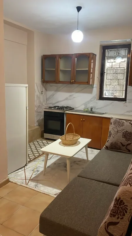 Tirane, jepet me qera apartament 1+1 Kati 1, 50 m² 350 € (kinostudio , porcelan)