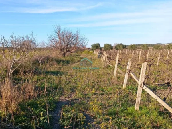 Vlore, shitet toke , 1.000 m² 40.000 € (panaja)