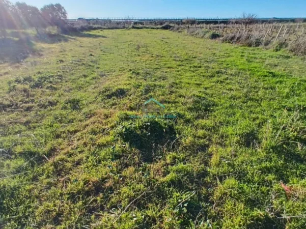 Vlore, shitet toke , 1.000 m² 40.000 € (panaja)