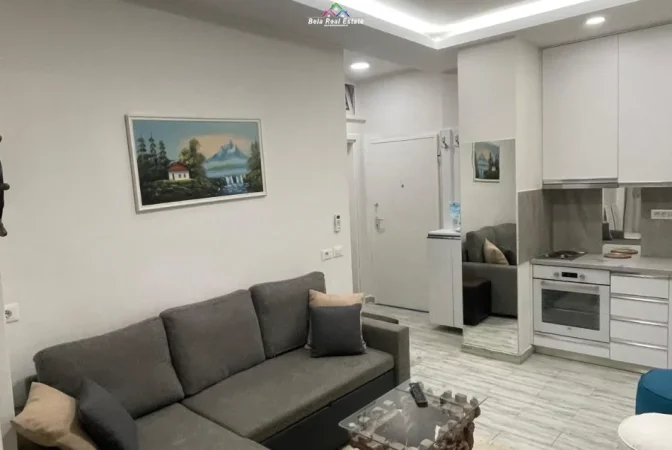 Tirane, jepet me qera apartament 1+1 Kati 2, 60 m² 660 € (komuna e parisit)