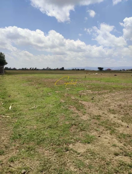 Tirane, shitet toke , 1.500 m² (MULLET)