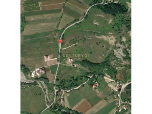 Tirane, shitet toke , 6.070 m² 425.000 € (Petrele)