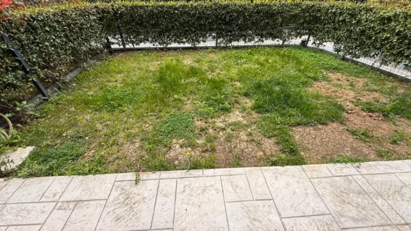 Tirane, jepet me qera apartament 1+1 Kati 0, 800 € (Teg)