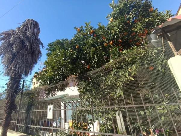 Tirane, jepet me qera/shitet Vile 2 Katshe Kati 0, 180 m² 850 € (Haki Stermilli)