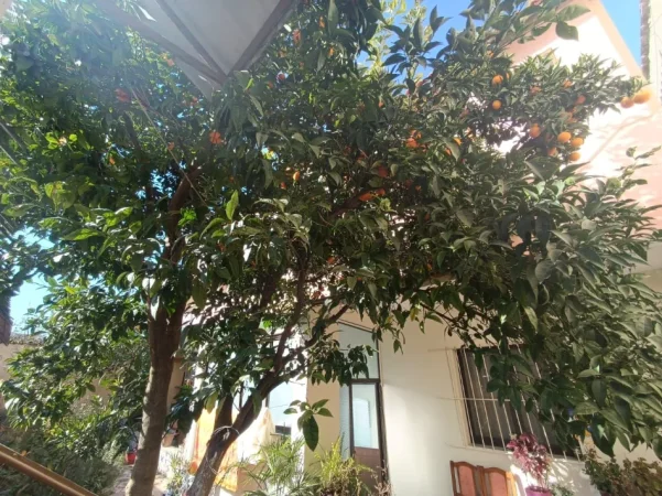 Tirane, jepet me qera/shitet Vile 2 Katshe Kati 0, 180 m² 850 € (Haki Stermilli)