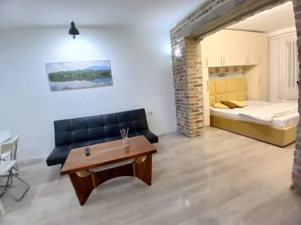 Tirane, jap me qera apartament 1+1 Kati 2, 45 m² 450 € (Rruga Durresit)