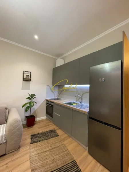 Tirane, jepet me qera apartament 1+1 Kati 5, 60 m² 650 € (KOMPLEKSI DELIJORGJI)