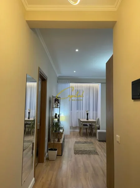 Tirane, jepet me qera apartament 1+1 Kati 5, 60 m² 650 € (KOMPLEKSI DELIJORGJI)