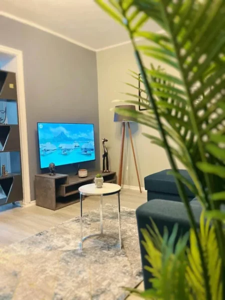 Tirane, jepet me qera apartament 1+1+Ballkon Kati 3, 62 m² 670 € (rruga e durresit)