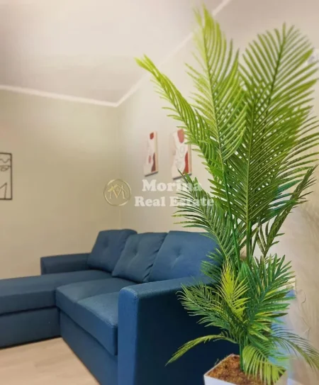 Tirane, jepet me qera apartament 1+1 Kati 2, 75 m² 650 € (Rruga e Durrësit)