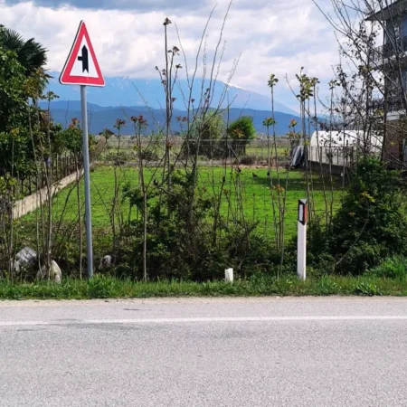 Berat, shitet truall , 1.000 m² 