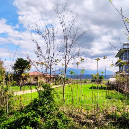 Berat, shitet truall , 1.000 m² 