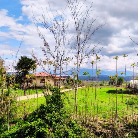 Berat, shitet truall , 1.000 m² 