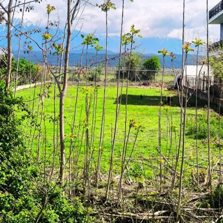 Berat, shitet truall , 1.000 m² 