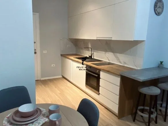 Tirane, jepet me qera apartament 1+1 Kati 2, 65 m² 600 € (ISH PARKU)