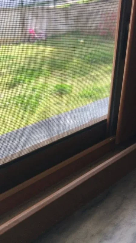 Tirane, jepet me qera shtepi 1+1+Aneks+Ballkon Kati 1, 77 m² 360 € (ali demi)