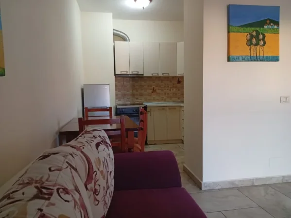 Tirane, jepet me qera apartament 1+1 Kati 4, 60 m² 380 € (YZBERISHT)