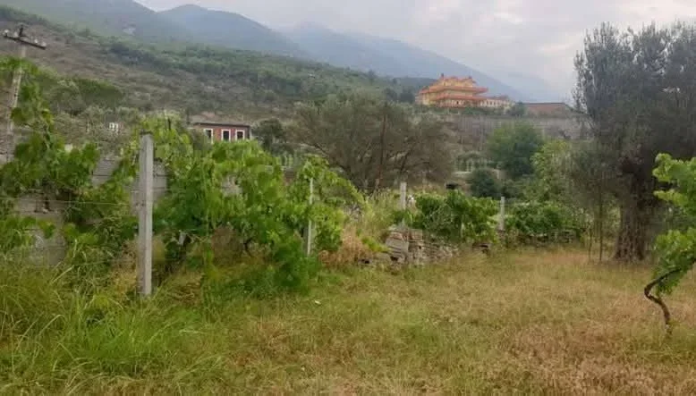 Tirane, shitet truall , 3.000 m² 570.000 € (rruga e arberit)