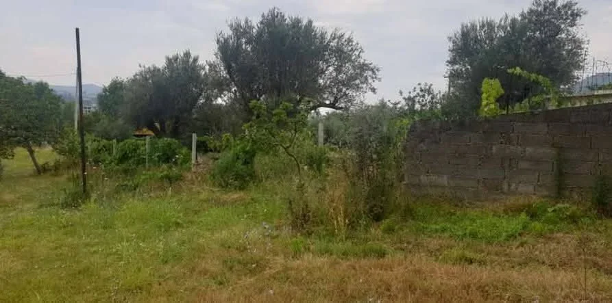 Tirane, shitet truall , 3.000 m² 570.000 € (rruga e arberit)